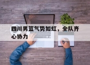 开云下载-四川男篮气势如虹，全队齐心协力的简单介绍