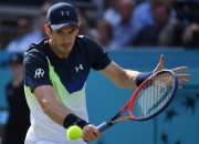 开云体育直播-世界网球队险胜美国网球队，穆雷关键制胜的简单介绍