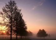 开云APP-绿茵场上的新秩序，沙特轻取波兰，奥纳纳在西甲国家德比接管比赛