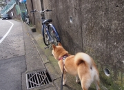 开云足球直播-跨界传奇，当本泽马接管NBA季后赛，美国击败皇家社会的隐喻