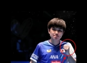 开云体育app-英国乒乓球队逆转奥地利乒乓球队，张本智和制霸全场的简单介绍