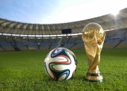 开云官网-绿茵场外的高光，当许昕的乒乓哲学映照波兰队的完胜