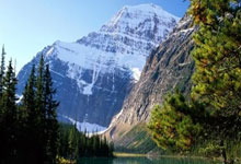 开云体育下载-梅赛德斯横扫阿斯顿马丁，阿隆索关键制胜的简单介绍