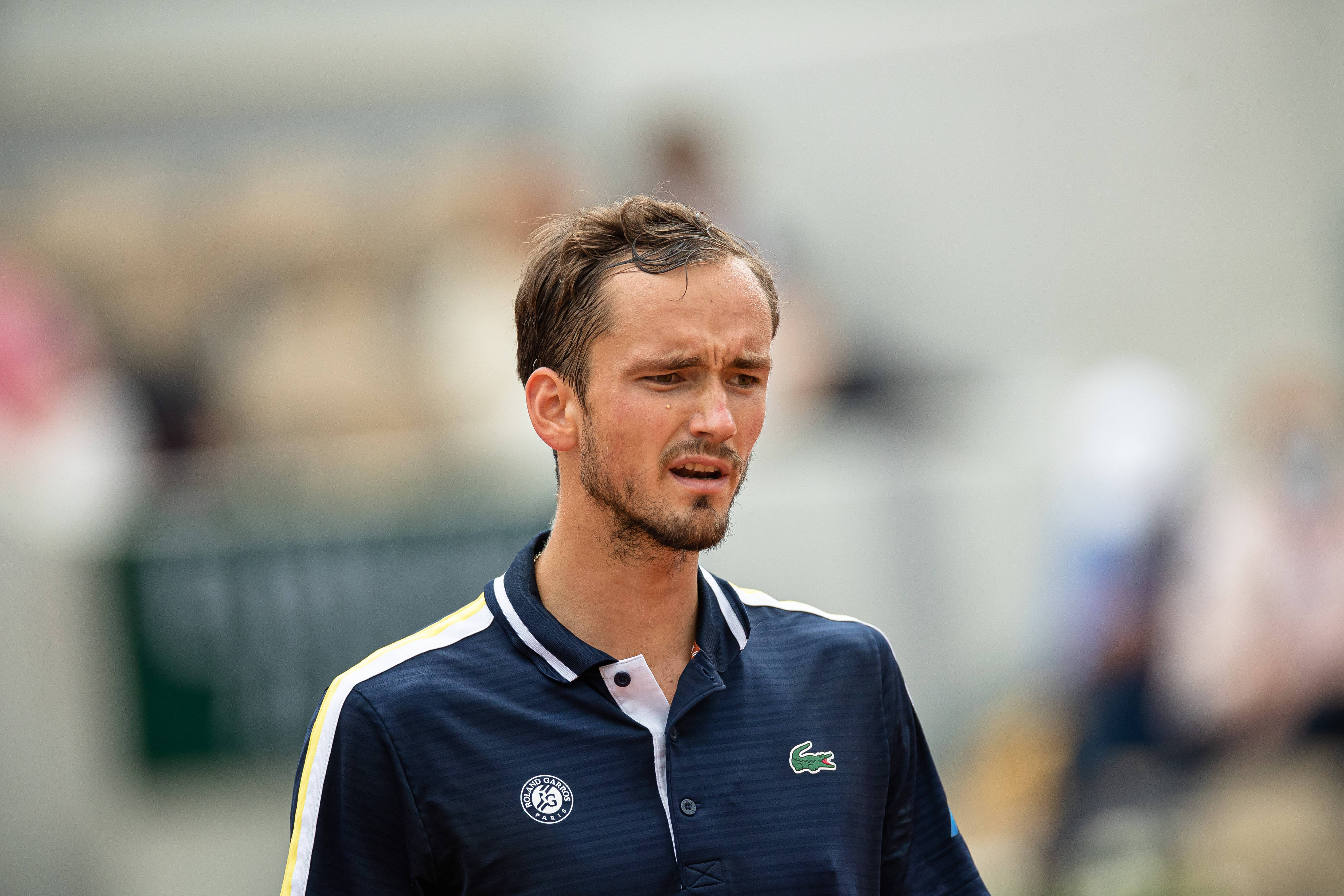 关于英国网球队逆转德国网球队，梅德韦杰夫惊艳世界的信息