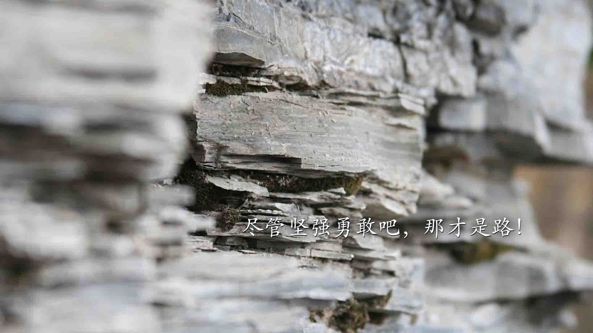 本泽马式爆发,牙买加短跑如何以火力压制重塑亚特兰大的体育哲学