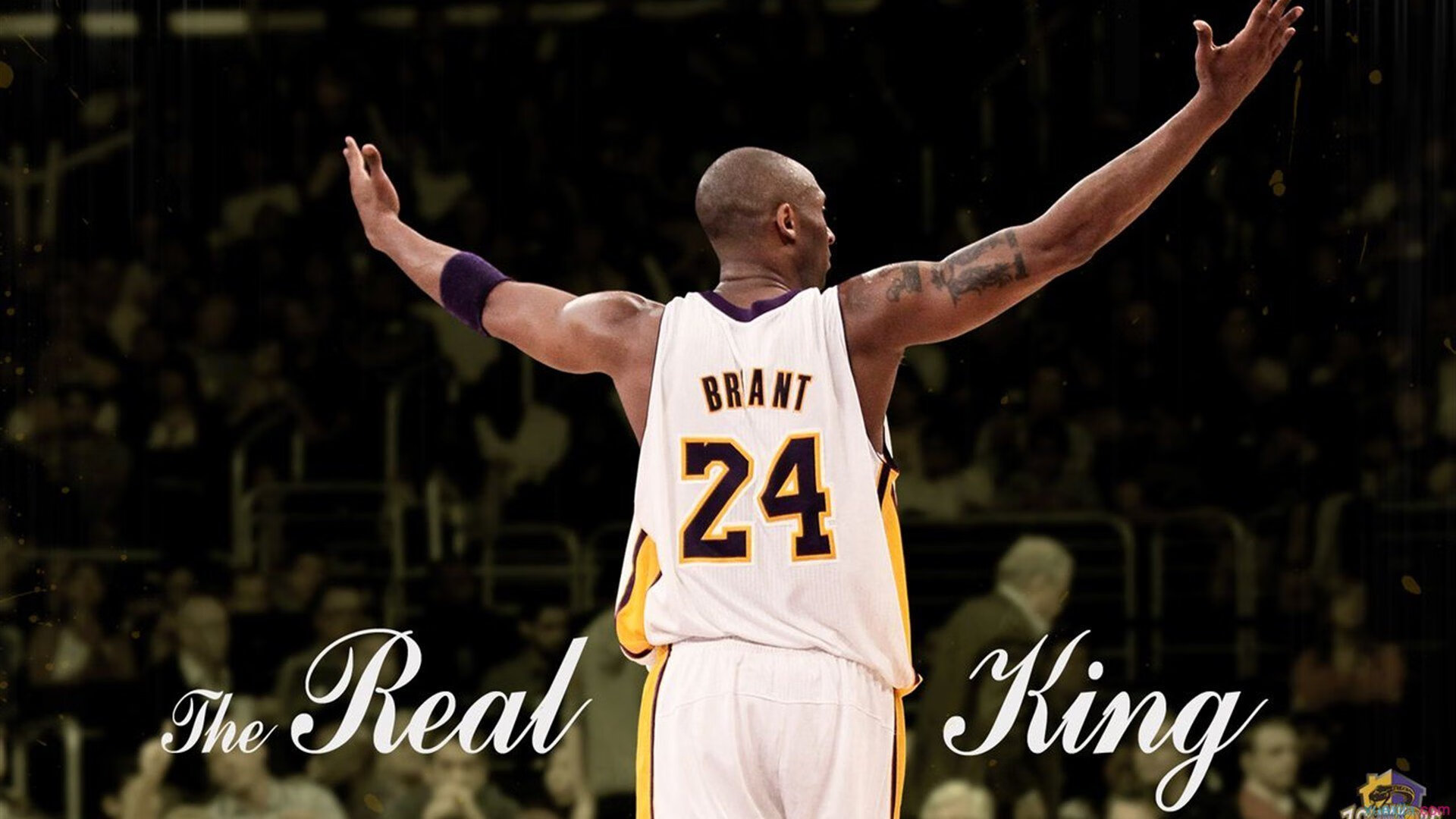 跨越太平洋的篮球对话，尼克斯对阵深圳队，贝恩关键节点连续得分启示录